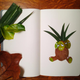 Image for article titled Forest Pokémon Are The Best Type of Pokémon